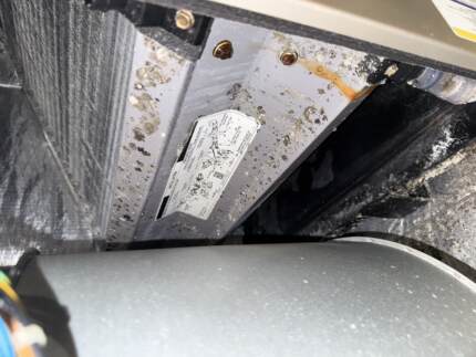 growth on evaporator coil before cleaning