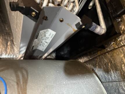 no growth on evaporator coil after cleaning
