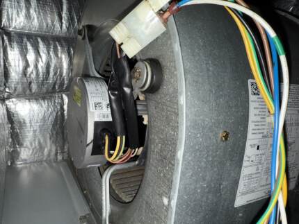 no organic growth on wires after cleaning