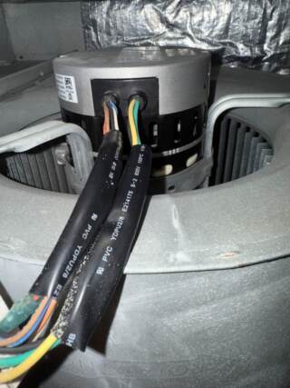 no growth on wires after cleaning