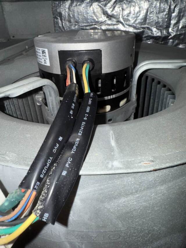 no growth on wires after cleaning