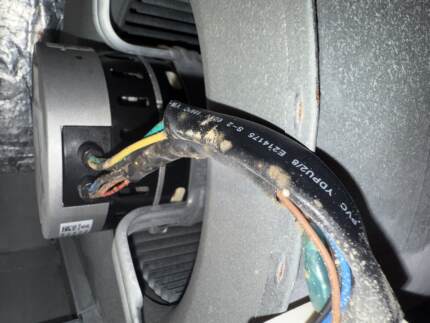 organic growth on wires before cleaning