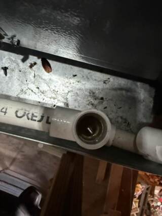 looking inside the drain line and seeing it cleared out