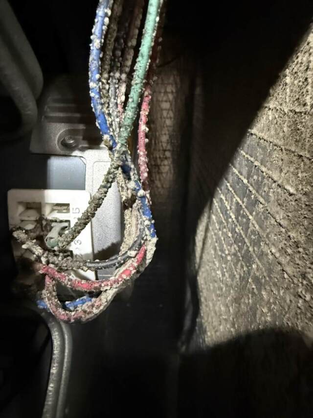 organic growth on wires