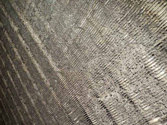 Evaporator coil before cleaning, you can see the dust and hair on the coil