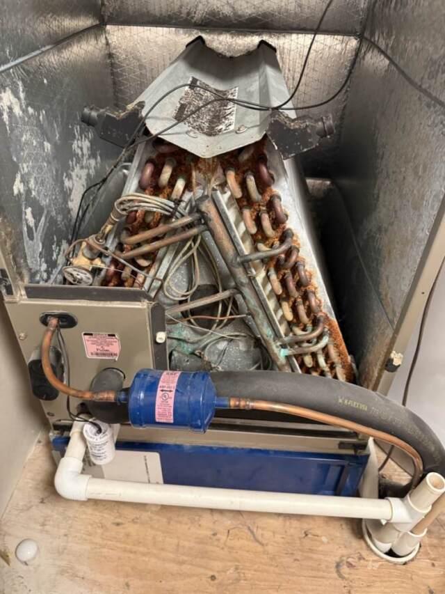 the evaporator coil and white pvc drain line which is what was not draining properly