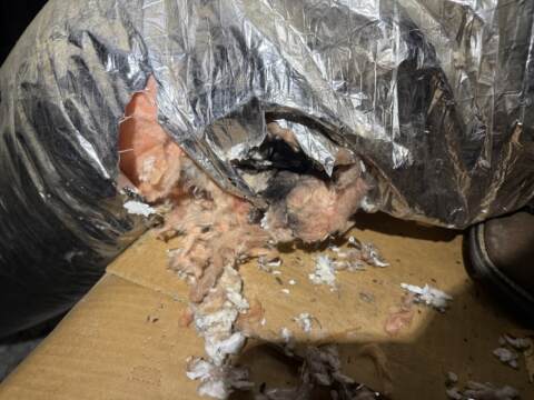 Holes chewed in ductwork