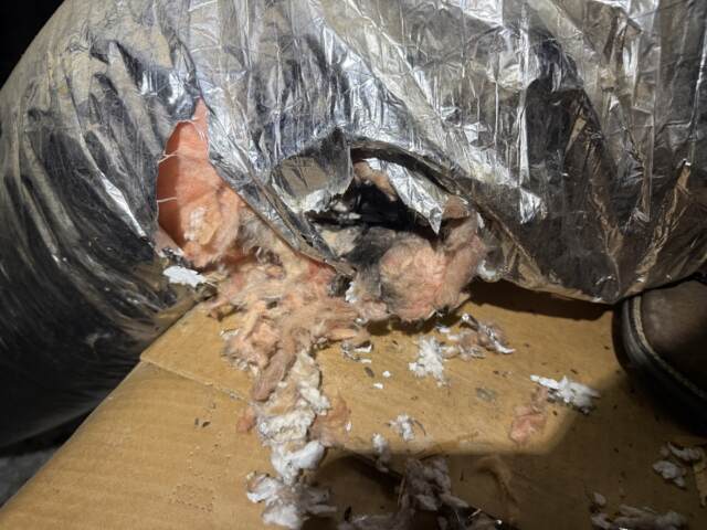 Holes chewed in ductwork