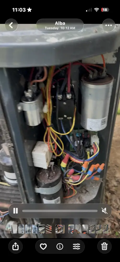 performing spring tune up and checking all electrical components