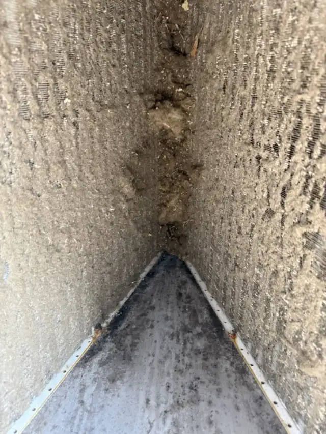 This is looking at the under side of the evaporator coil showing all the dirt and grime stuck to it