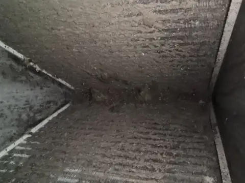 This is the evaporator coil which is full of dust and dirt and is impeding airflow to the system.
