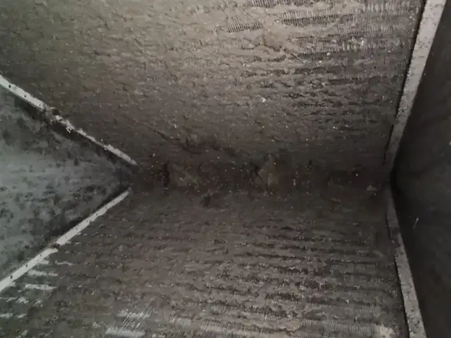 This is the evaporator coil which is full of dust and dirt and is impeding airflow to the system.