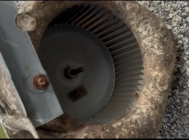 Second picture showing biological growth all over blower housing