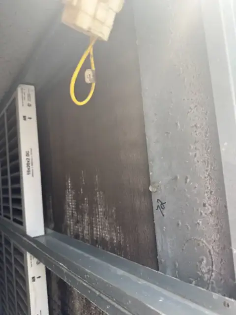 Looking at the evaporator coil behind the air filters