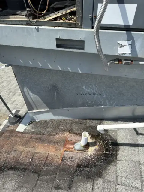 broken pvc pipe draining on roof causing organic growth and damage to shingles